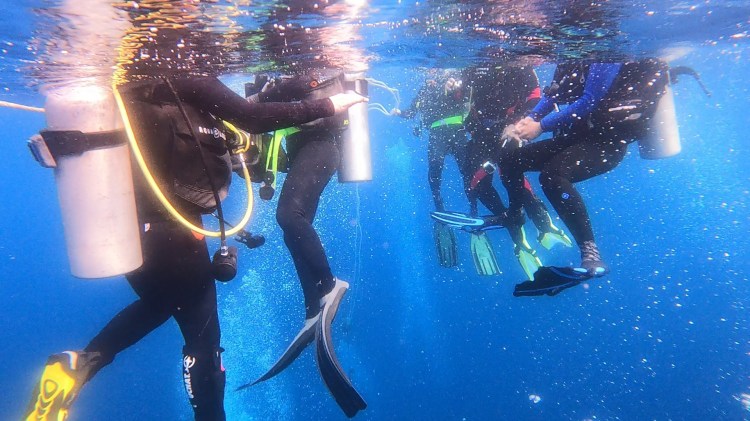Scuba divers legs and fins EMPTY NEST DIVER