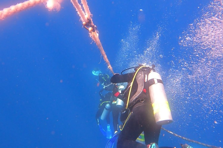 Divers descending down a mooring line EMPTY NEST DIVER