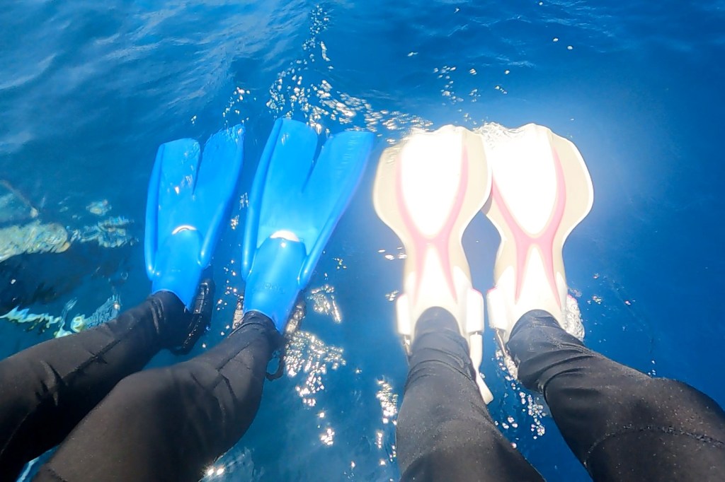 Two sets of scuba fins in the water EMPTY NEST DIVER