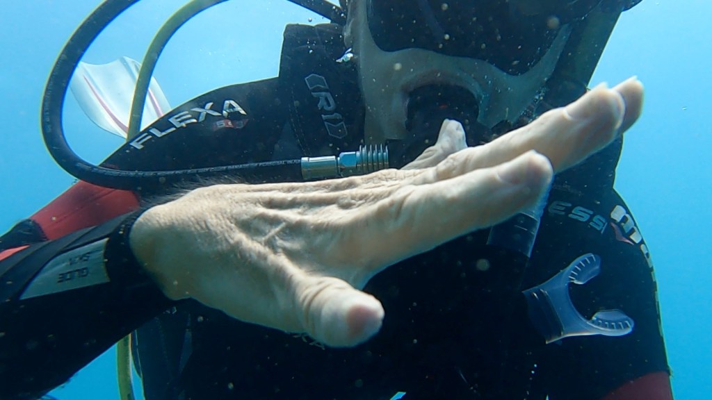 Diver signalling something is wrong