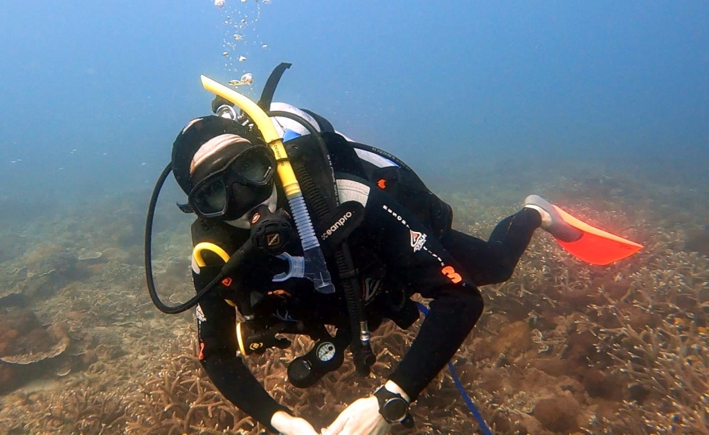 A SCUBA WOMAN Woman scuba diver
EMPTY NEST DIVER