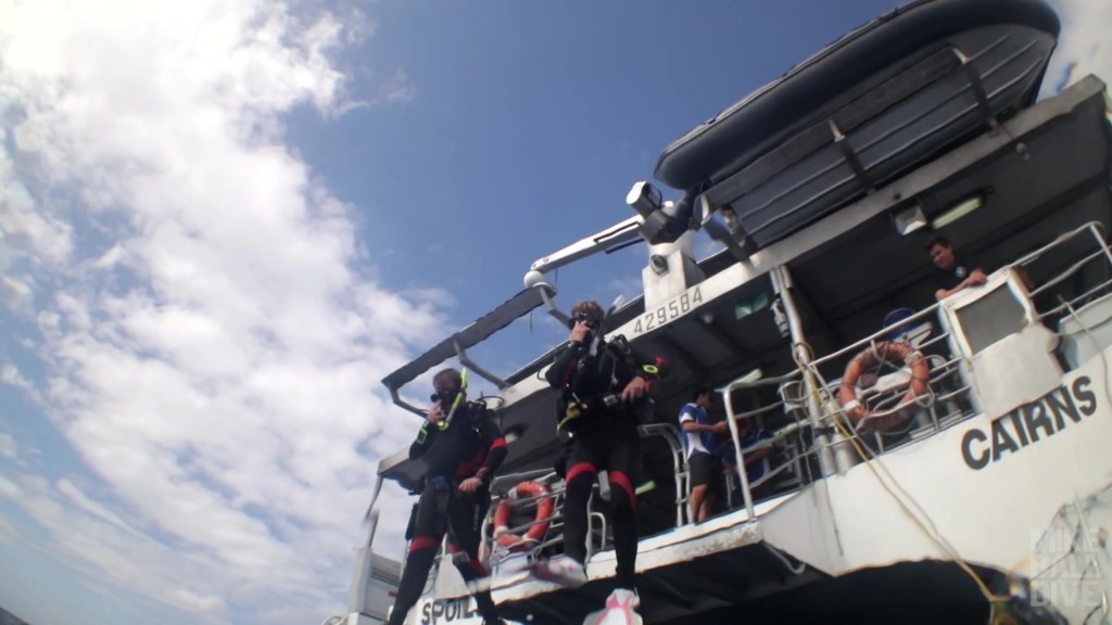 Two Scuba Divers performing a giant stride from a high boat platform
EMPTY NEST DIVER