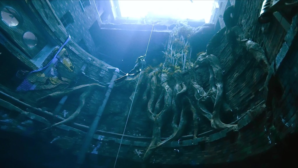 Free diver at Deep Dive Dubai