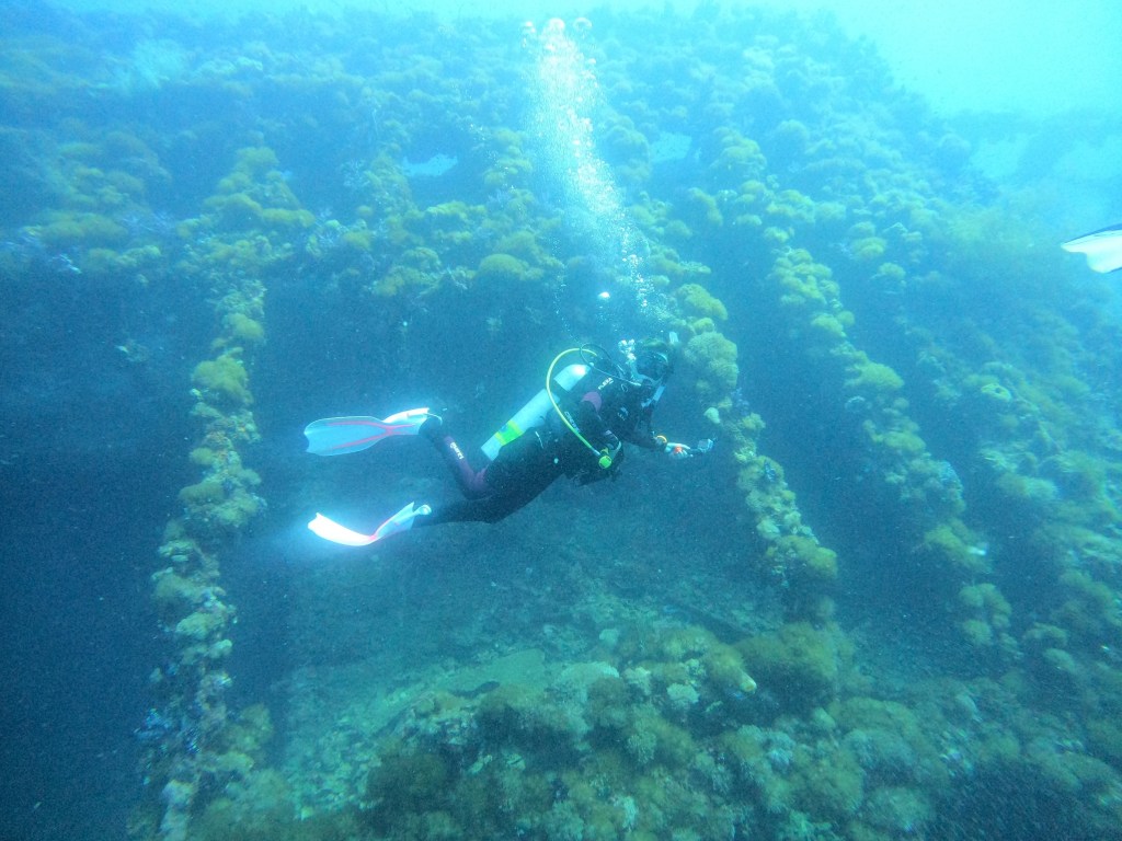 A scuba woman diving