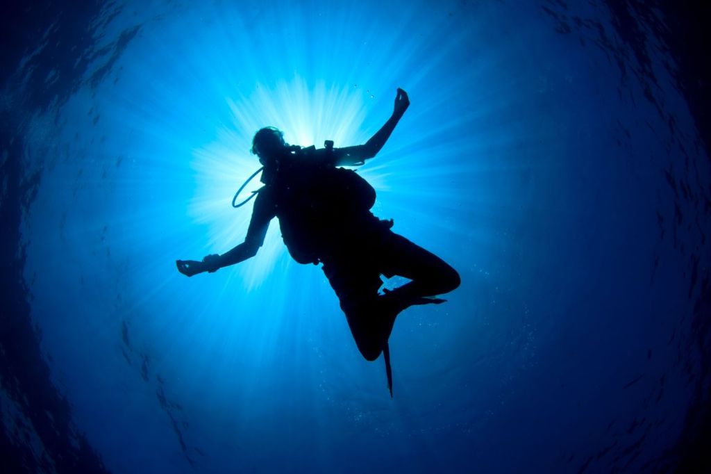 Looking uo a a scuba diver floating