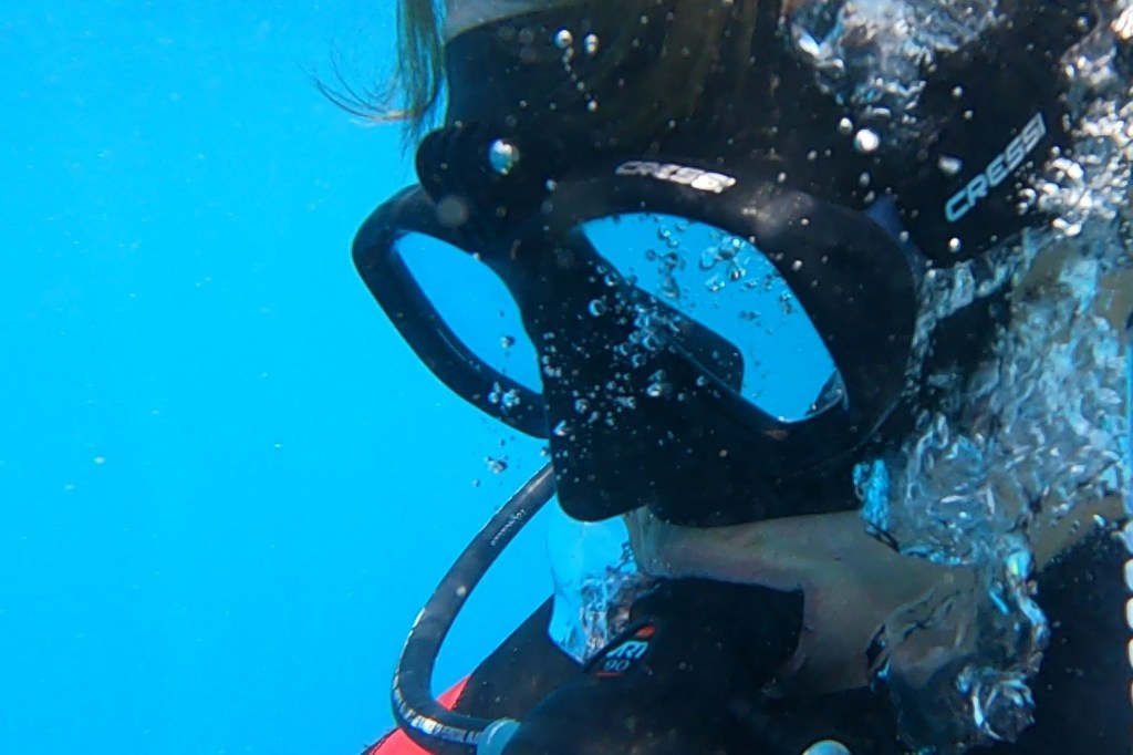 Aclose up of a Scuba Woman face and mask underwater
emptynestdiver.com