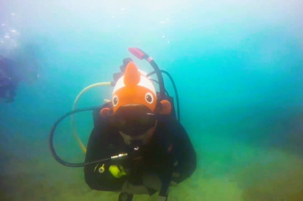 A Scuba Woman underwater wearing a Nemo hood
emptynestdiver.com