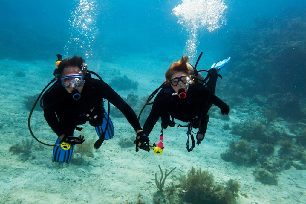 Two scuba divers holding hands underwater
Empty Nest Diver
