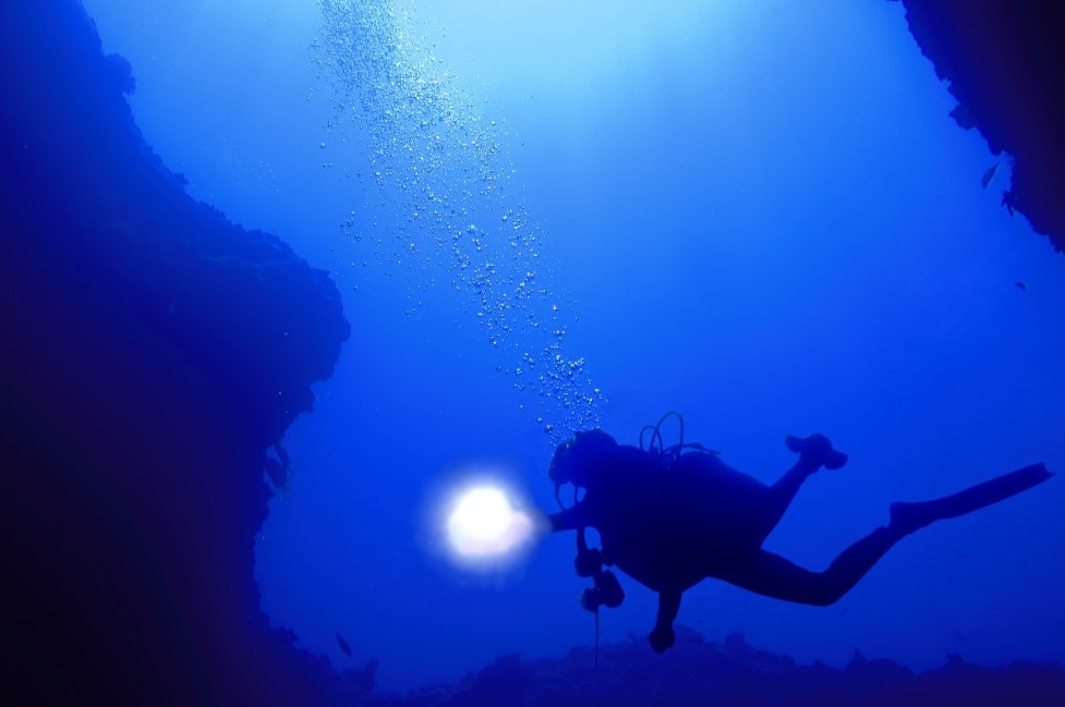 Scuba diver with a torch
Empty Nest Diver