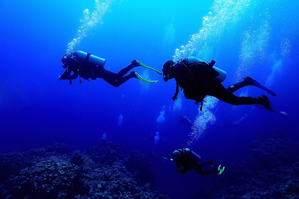 Scuba divers in the deep blue ocean
Empty Nest Diver