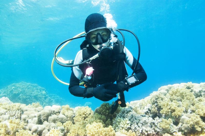 A Scuba Woman hovering over coral
Empty Nest Diver