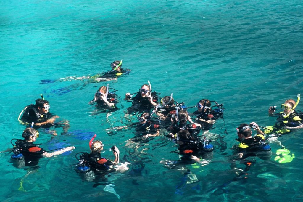 A group of scuba divers on the waters surface.
Empty Nest Diver