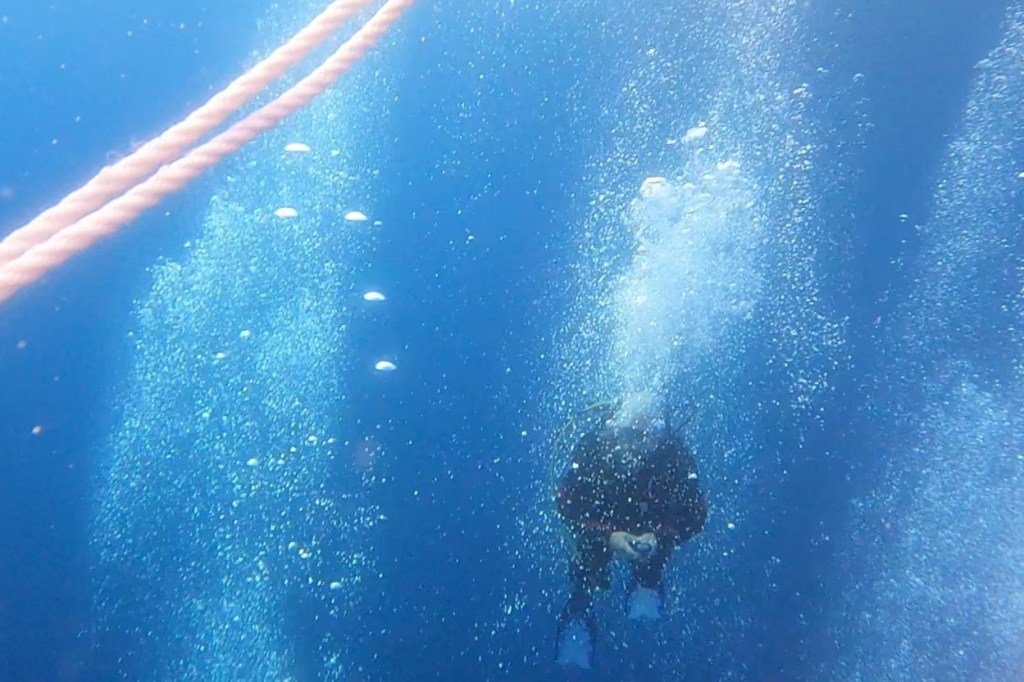 A Scuba Diver behind a cloud of bubbles 
Empty Nest Diver