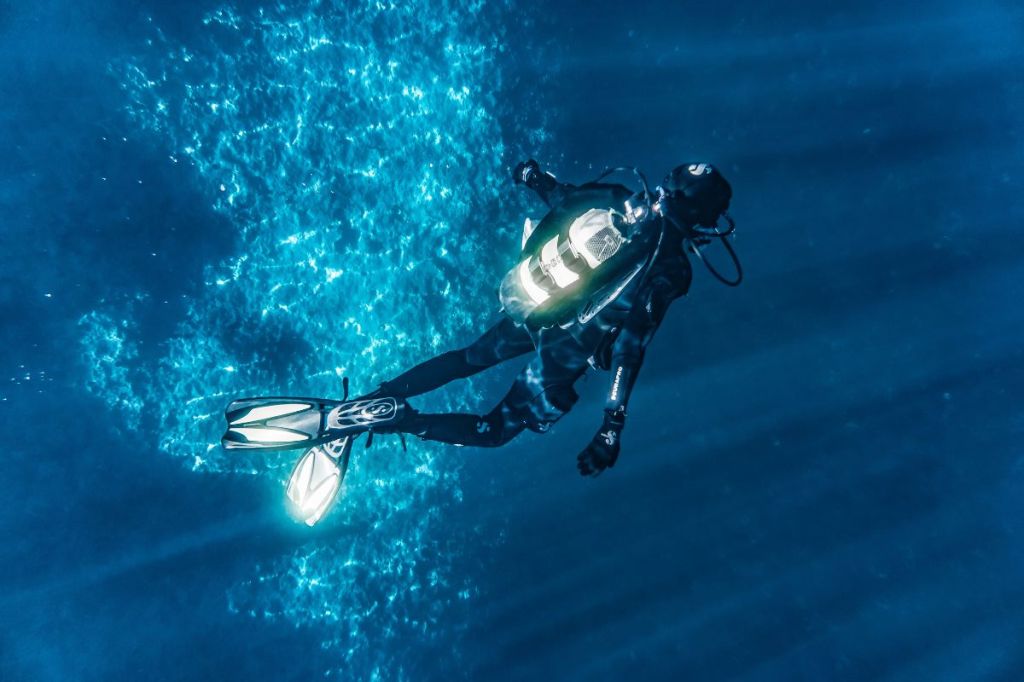 Scuba diver floating in dappled water
Empty Nest Diver