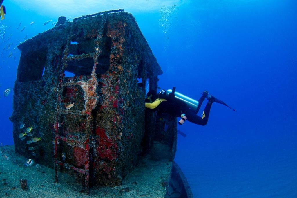 A scuba diver exploring a wreck
Empty Nest Diver