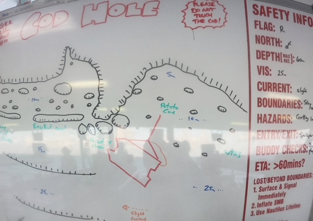 A dive plan of the Cod Hole
Empty Nest Diver
