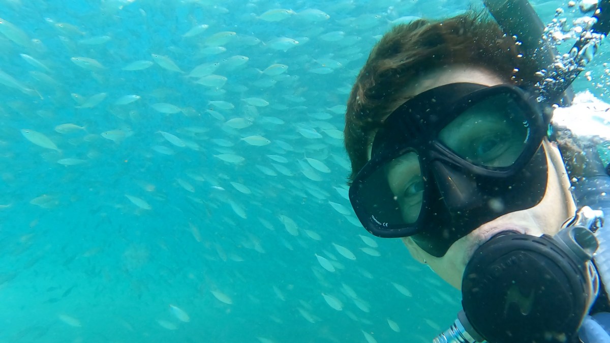 Why Scuba Diving is the Ultimate New Year’s&nbsp;Resolution