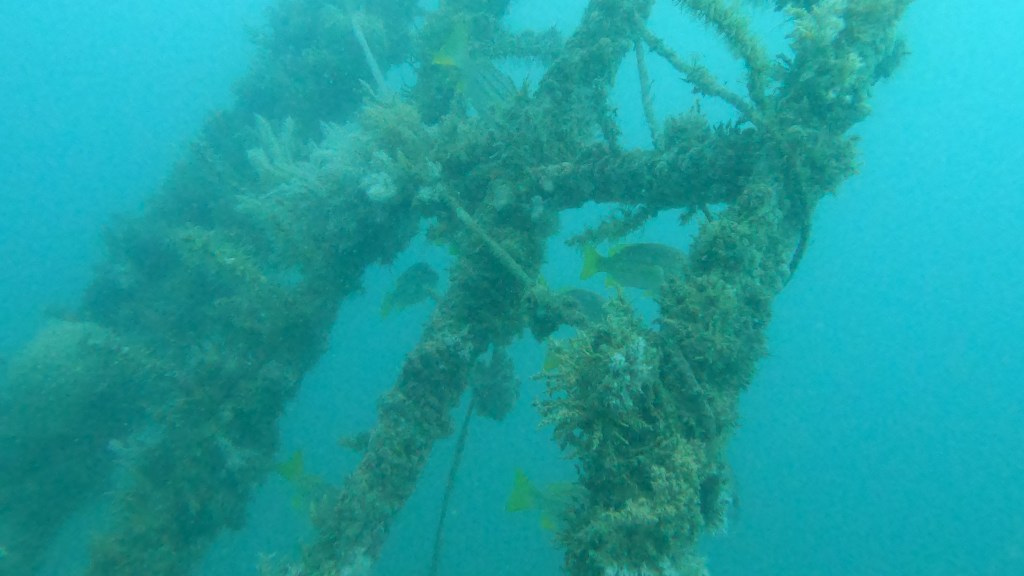 Shipwreck in poor visibility