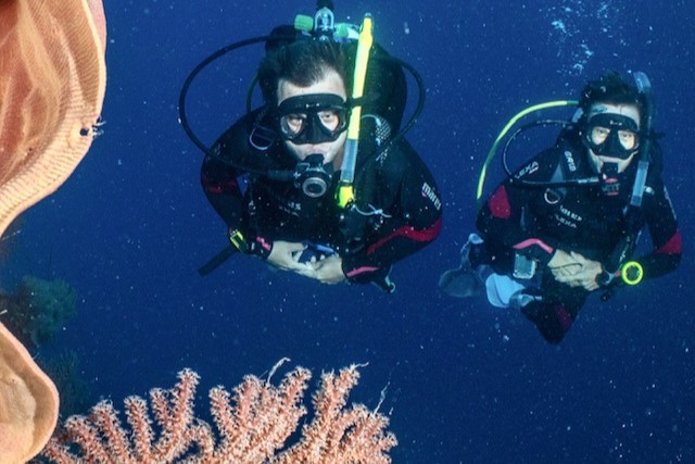 Two scuba divers underwater
Empty Nest Diver
