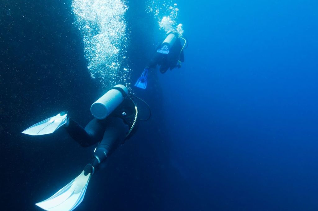 Two Divers deep under the ocean
Empty Nest Diver